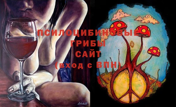 хмурый Алексин