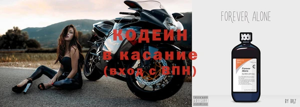 хмурый Алексин