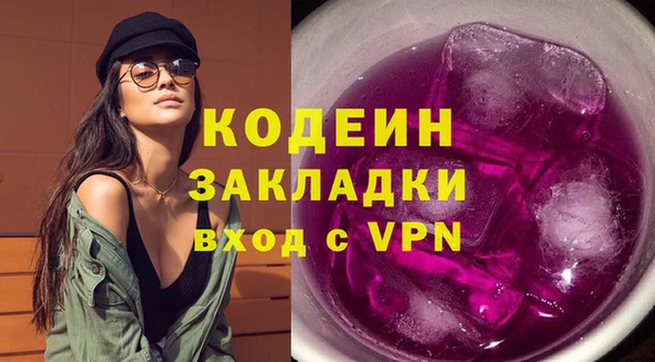 хмурый Алексин