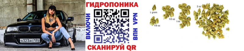 omg ССЫЛКА  Уяр  МАРИХУАНА OG Kush 